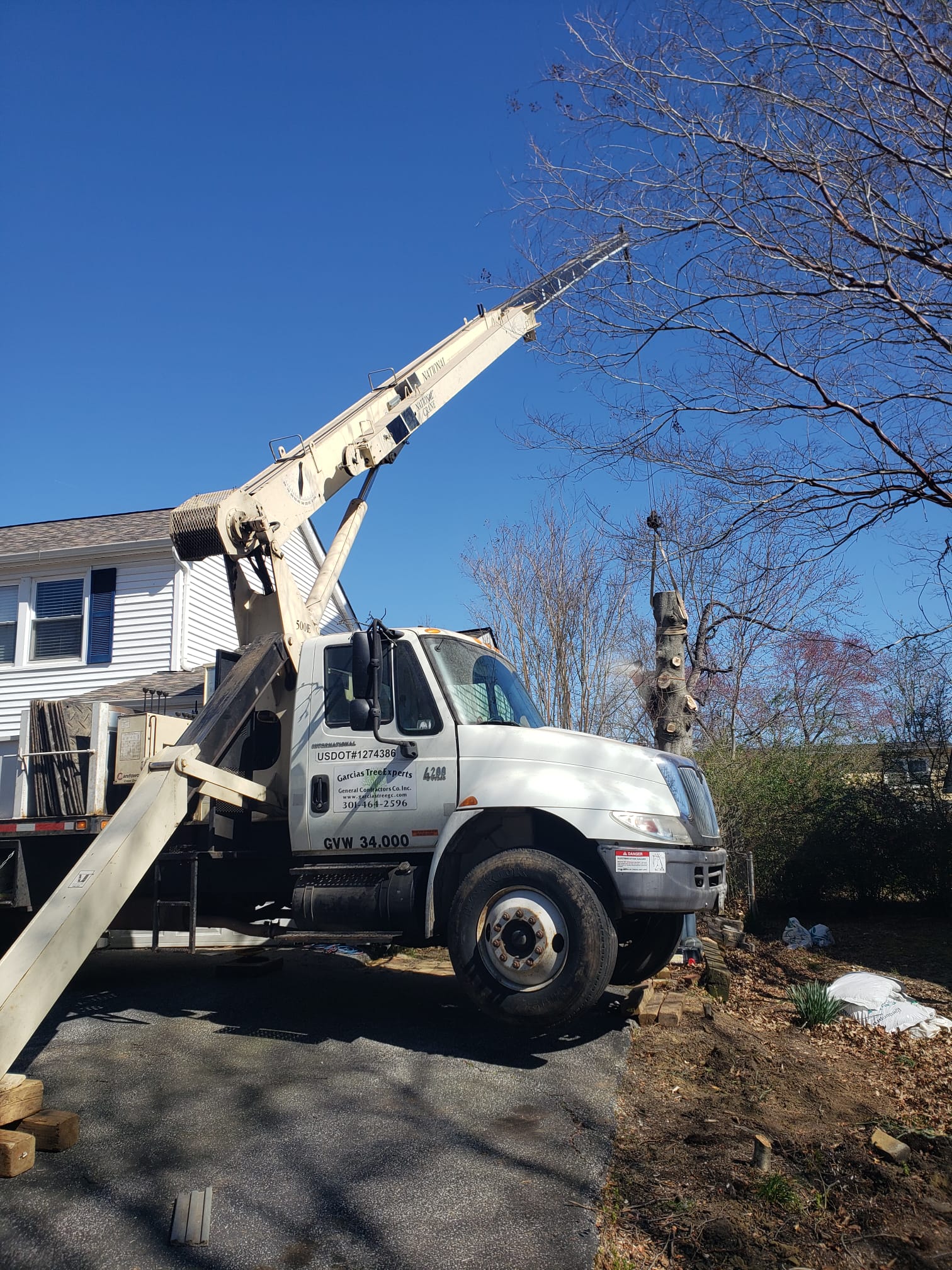 Garcias Tree Experts General Contractors Co., Inc. Image